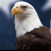 EAGLE(@itsEAGLE123) 's Twitter Profile Photo