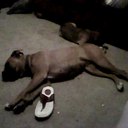 Michael  Ramey - @Ramey2Ramey - Twitter