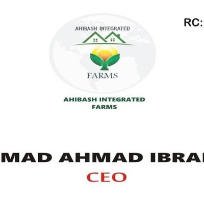 ahibash7521's profile picture. Intellectuals only ⚠️