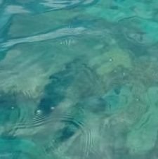 jiahajaaaa's profile picture. .