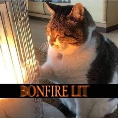 GSYdrummer's profile picture. Bad at Triathlons, better at shitposting. This is a Pittsburgh Steelers fan account now. #herewego