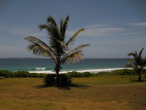 andreabritoro's profile picture. 