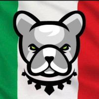 Pitbull Italia 🇮🇹(@PitbullbscI) 's Twitter Profile Photo