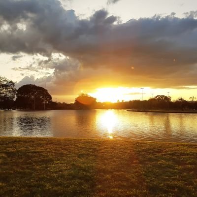 nandaredfield's profile picture. 📚 ADS