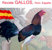 Revista GALLOS, Edición mundial sobre gallos de pelea. Director: Cristian Medina Febres. Criadero Tradición (Perú), gallos Combatiente Español y Orientales.