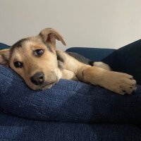 Mac Tucker (@mactucker_10) 's Twitter Profile