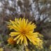Natura Maresme (@naturamaresme) Twitter profile photo Natura Maresme (@naturamaresme) Twitter profile photo