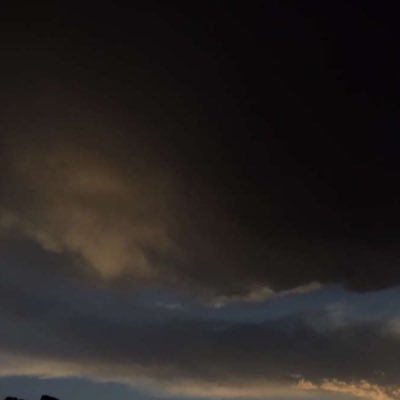 XNi511's profile picture. 