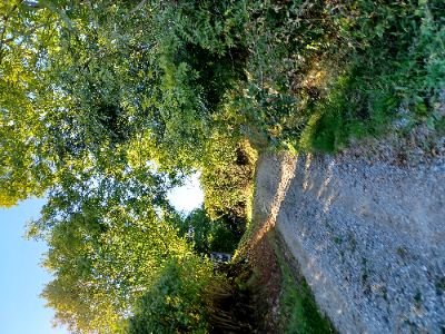 It is bottom-up collective initiative to tackle Rural/Urban divide& propose a sustainable future together, centered on care, green, innovation&people. 🌲🌱🌾🌍