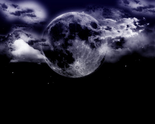 Qatartimes's profile picture. 「Serious and Fun Business Talk」メショ