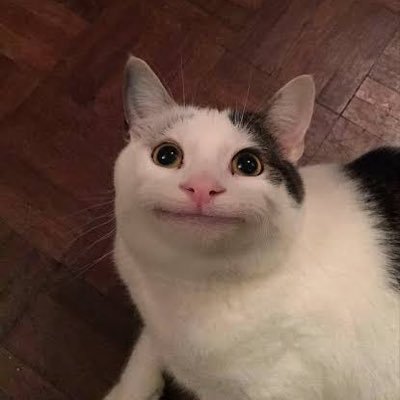 ElPirataPeralta's profile picture. Pirata piloto aviador de la bala de plata.