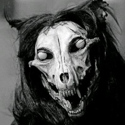 Hater amateur. Agente provocador ad honorem. Disculpen mi Asperger. Si queres mis datos buscate un hacker.