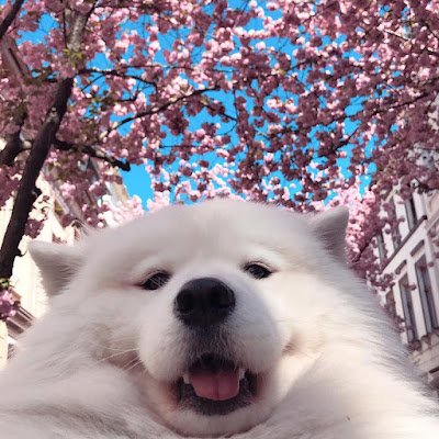 RageThewalking's profile picture. 