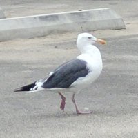 Frawd (@frawd12) 's Twitter Profile Photo Frawd (@frawd12) 's Twitter Profile Photo