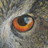ChrisTCollins's profile image