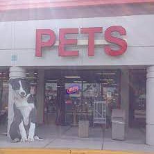 Sarasota's Unique Pet Shop
6230 Lockwood & University
📞(941)359-1000
In need of pet supplies? 🐶🐱🐇🐠🐍🐦
We stock everything!