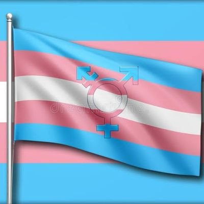 EmpoderamentoT's profile picture. Destinado ao empoderamento trans
