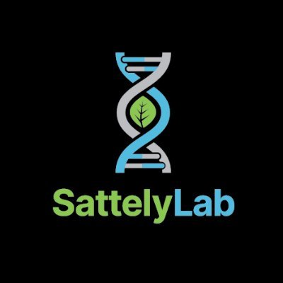 Sattely_lab Profile Picture