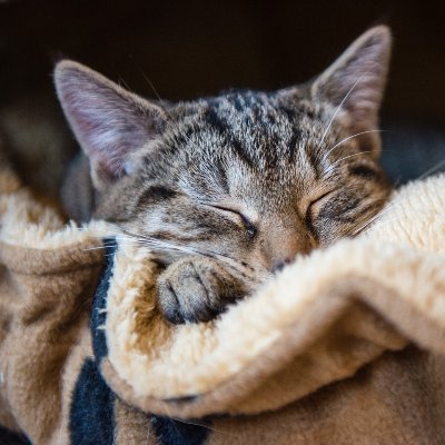 heike74's profile picture. Psychotante, Tiernärrin und gerne tagelang mit dem Rad unterwegs