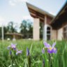 nature_center's profile picture. A 500-acre outdoor education center with hiking trails and restored prairie, woodland and wetland, open and offering programs to the public 365 days a year.