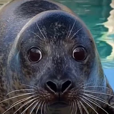 MayaCas32820764's profile picture. 