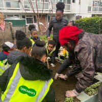 OrganicLambeth (@organiclambeth) 's Twitter Profile