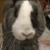 AlexGe0324's profile picture. 