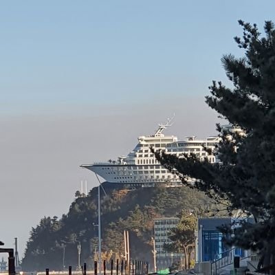 gimhungeun's profile picture. 