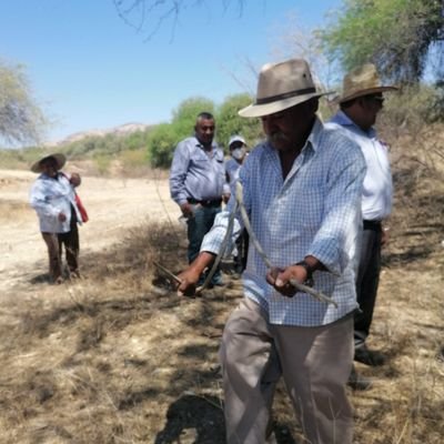 JavierR43593764's profile picture. El bigotes