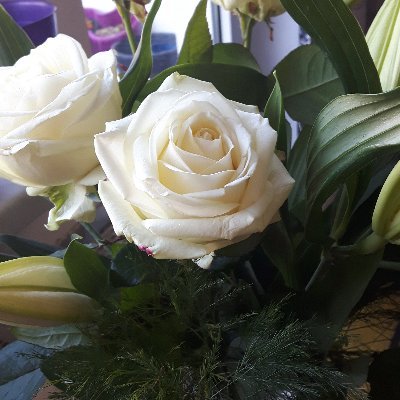 _casamial's profile picture. schreiben, lernen, lehren und dann kam das Theater...