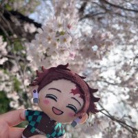 ゆの🌿 (@yunopen0321) 's Twitter Profile Photo ゆの🌿 (@yunopen0321) 's Twitter Profile Photo