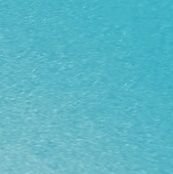 luke_kim586's profile picture. 