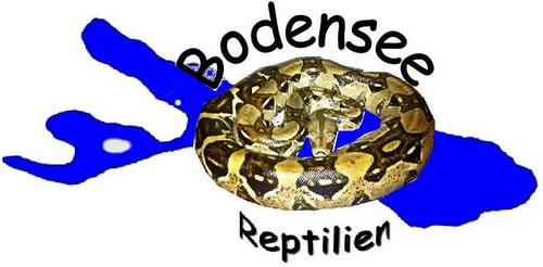 BSReptilien's profile picture. 