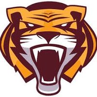 Stewartville Tigers Softball (@stewietigerssb1) 's Twitter Profile