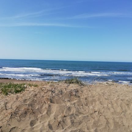 STCO38594639's profile picture. 