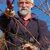 Neil Snare (@winsteadwines) Twitter profile photo