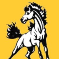 Lynchburg-Clay Mustangs HS Baseball (@lynchburgclaybb) 's Twitter Profile Photo Lynchburg-Clay Mustangs HS Baseball (@lynchburgclaybb) 's Twitter Profile Photo