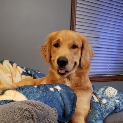 KyRy183's profile picture. 