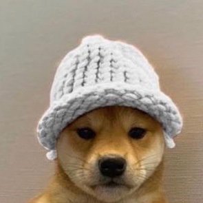 Dionityy's profile picture. quit