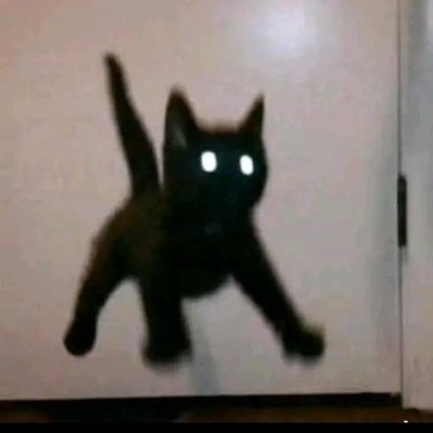 jasonwu315's profile picture. Full-Stack Dev → Indie Hacker 🧑🏻‍💻 
Building & cloning micro-SaaS via TrustMRR → Goal: 100 MRR 🎯
Sharing the whole journey ⚡