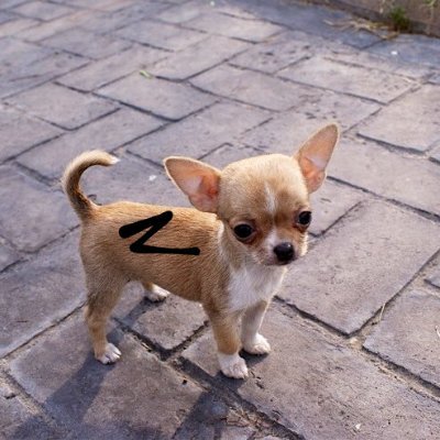 BotitaasEl's profile picture. 