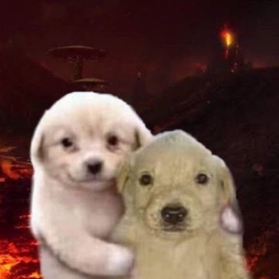 whaleren9's profile picture. i just hang out here.
21 yrs.