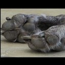 Lori Goldfarb - @lorigoldfarb - Twitter