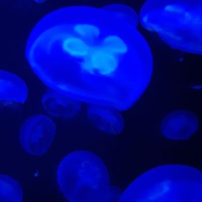 にすいさんのプロフィール画像