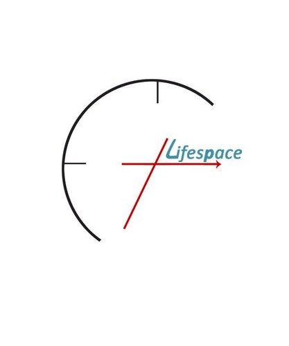 Lifespace Coaching and Consulting is eager to help you with your personal vision, as it relates to those around you.