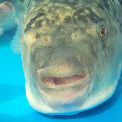 Erisu_rs's profile picture. 