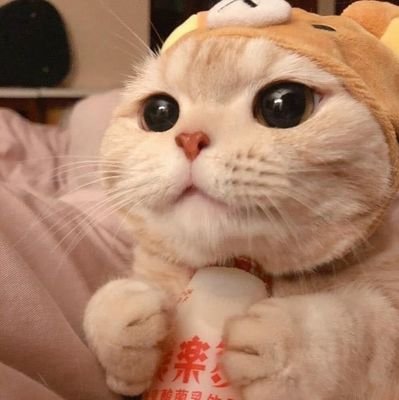 zhangmi59662163's profile picture. 