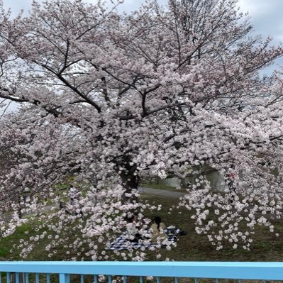 bPcqlFnG3yIwml8's profile picture. 30代時短ワーママ、2019.12👧 2人目妊活