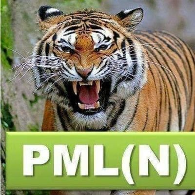 sirfwajidrazzaq's profile picture. Wajid Razzaq