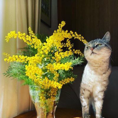 bambibin1213's profile picture. 総合芸術✨藤井風🍃何もかもが美しい人❤️只々ひたすら愛でてゆく🌈 22.7.3 aaht 米子 / 22.10.16パナスタ / 22.12.18宮城, 23.1.14埼玉laat / 24.8.24 日産🏟️ / 24.11.2 Kuala Lumpur🇲🇾/  25.8.17 B.E. たまアリ